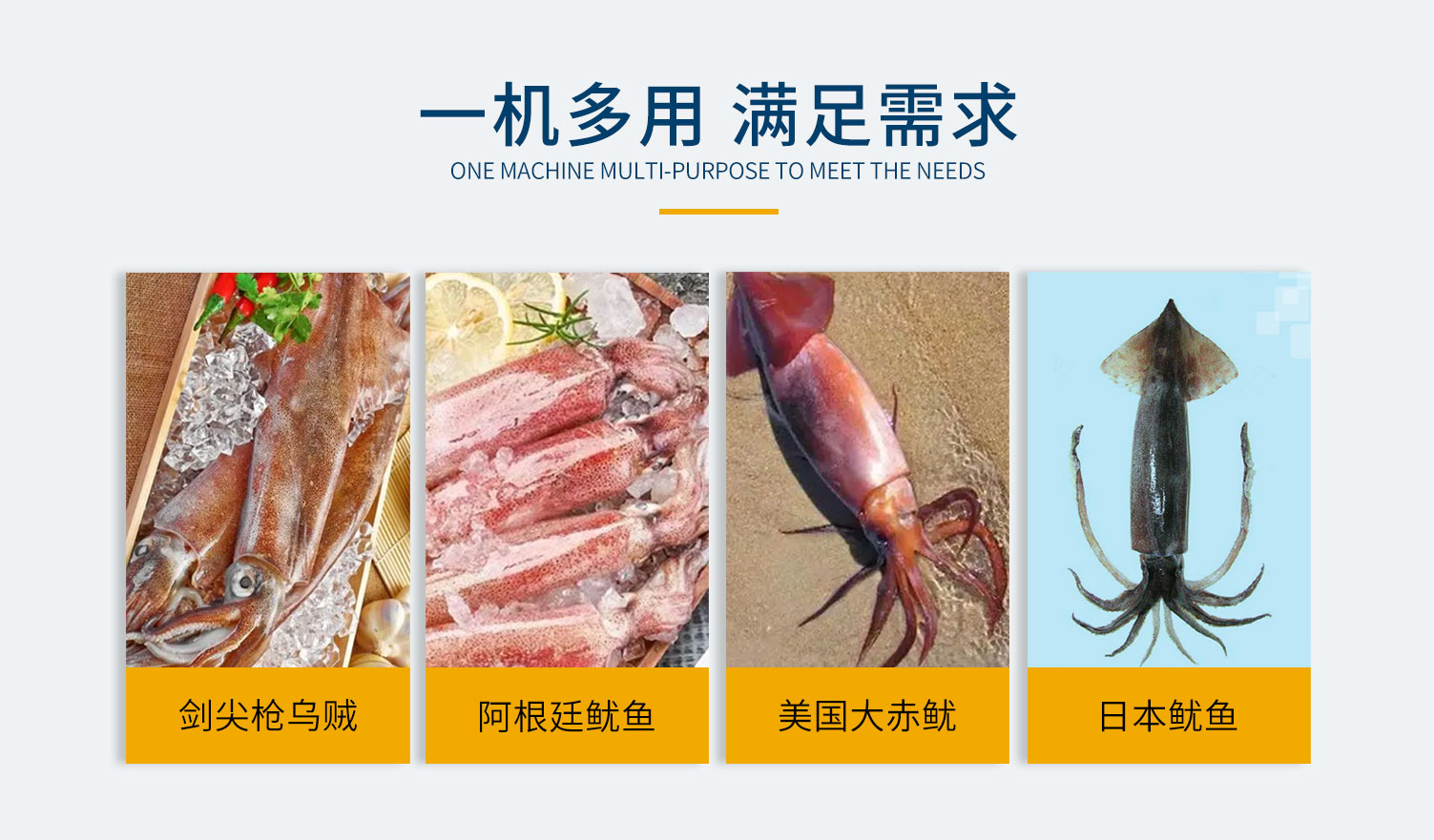 魷魚切圈機，魷魚切條機，全自動魷魚加工設(shè)備，魷魚加工機器，魷魚圈，魷魚條