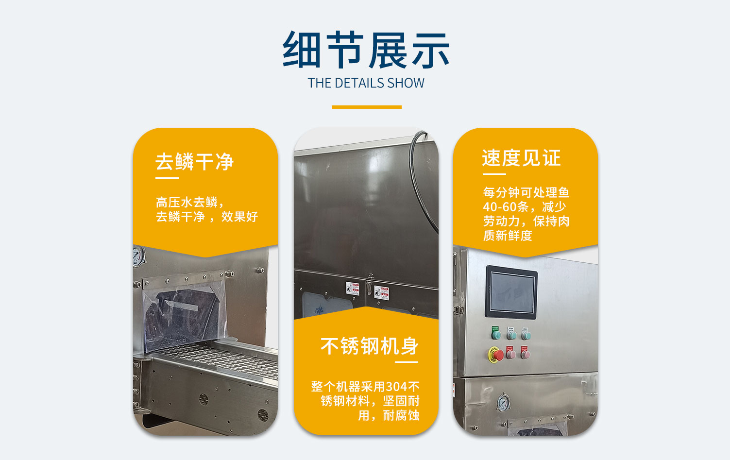 高壓水去鱗機FCM-658高壓水去鱗機 FCM-658： 黑魚去鱗機，白鰱魚去鱗機，花鰱魚去鱗機，