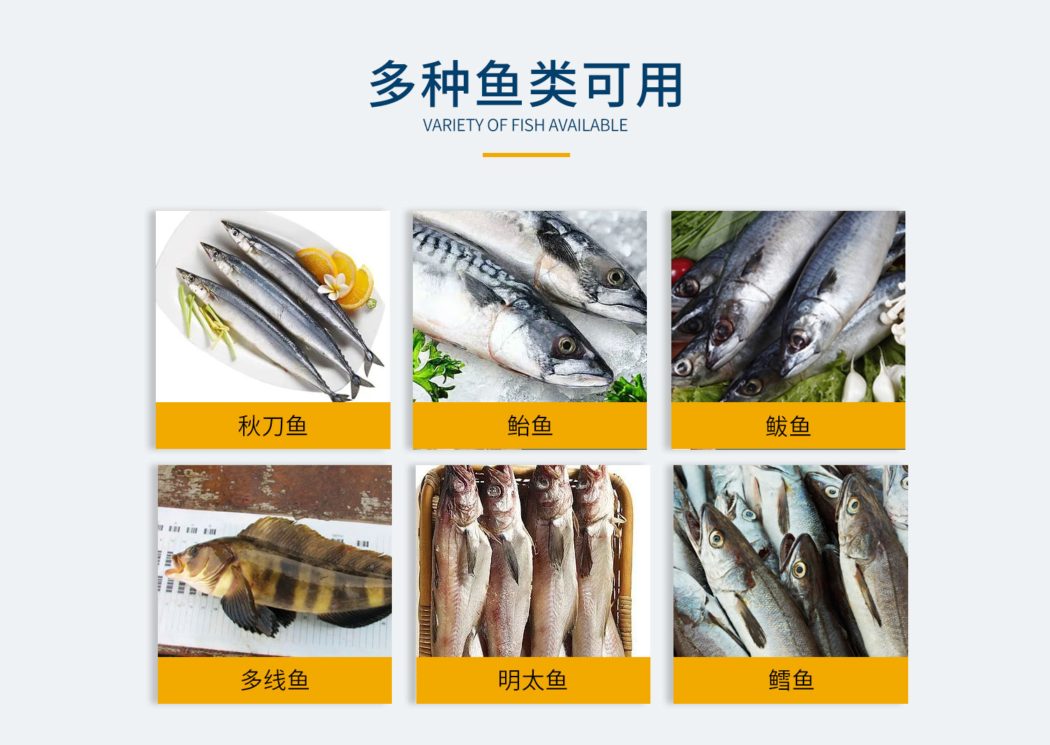 魚類切頭機，單通道切頭機，雙通道切頭機，鰱魚切頭機，黃魚切頭機，鲅魚切頭機，各種魚類切頭機