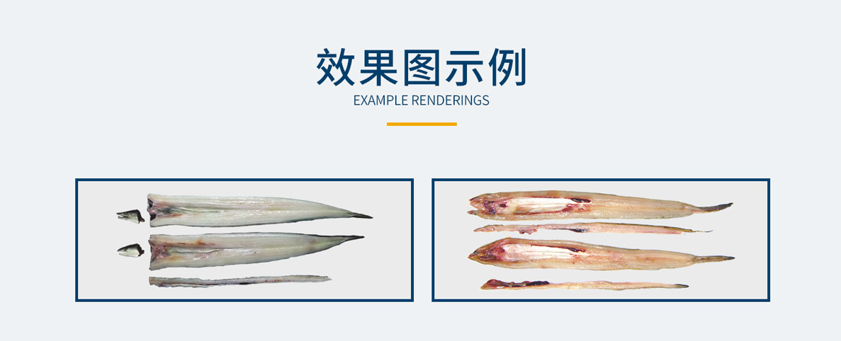 鰻魚專用去中刺開片機，鰻魚去中刺開蝴蝶片，不銹鋼鰻魚開片機