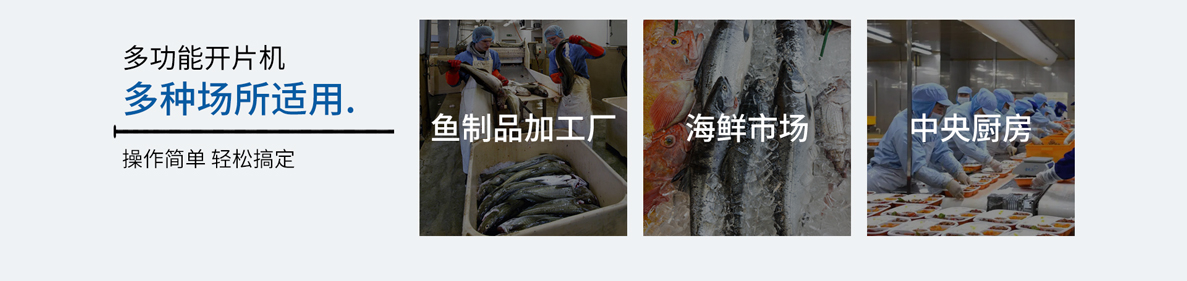 中型魚(yú)類二枚開(kāi)片機(jī)（大型） FCM-228，不銹鋼魚(yú)片機(jī)，鲅魚(yú)開(kāi)片機(jī)，二枚三枚開(kāi)片機(jī)，黃魚(yú)開(kāi)片機(jī)，鰻魚(yú)開(kāi)片機(jī)