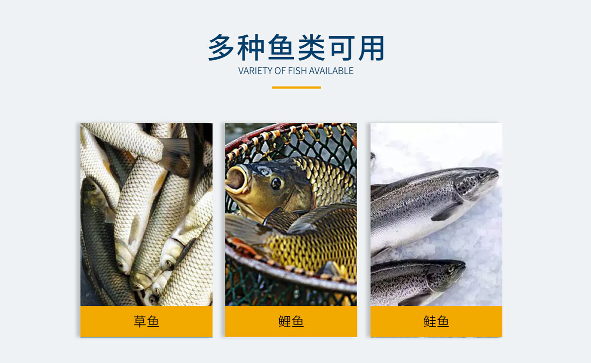 魚(yú)類(lèi)去臟機(jī)，魚(yú)類(lèi)剖切清潔去臟機(jī)，不銹鋼去臟機(jī)，魚(yú)類(lèi)二枚三枚開(kāi)片機(jī)，魚(yú)類(lèi)切頭去臟機(jī)組