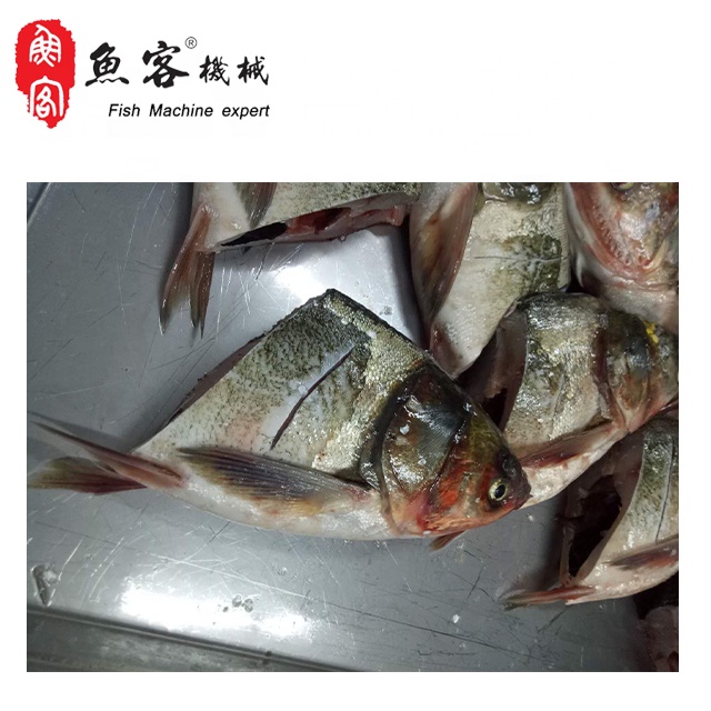 高壓水去鱗機(jī) 斜切魚頭機(jī) 白鰱魚魚頭斜切機(jī) 花鰱魚魚頭斜切機(jī) 剁椒魚頭斜切機(jī)