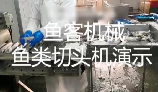 魚類切頭機(jī)演示視頻