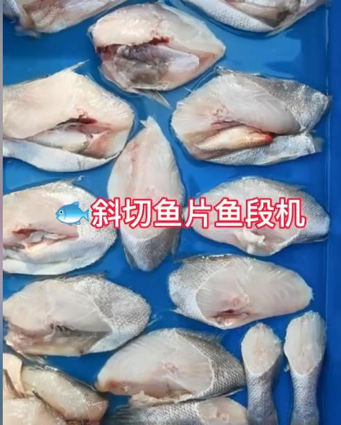 斜切魚片魚段機(jī)  漁客機(jī)械 食品機(jī)械設(shè)備 試機(jī)視頻