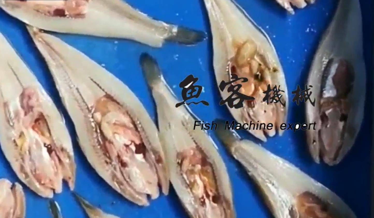 小魚開片-小沙逛魚開背